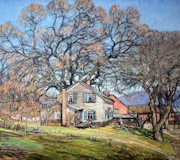 The Wide Spreading Elm